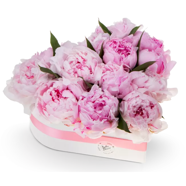 Květinový box pivoňek